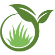 Carlsbad Lawn Clean Up