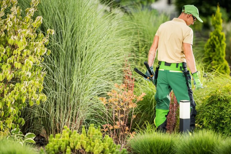Landscaping Cleanup Service
