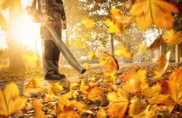 Leaf Blowing Service in Carlsbad