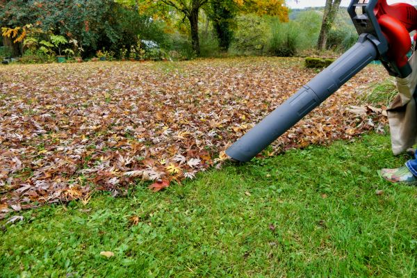 Leaf Vacuuming Service in Carlsbad