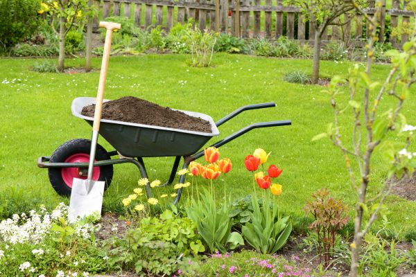 Spring Yard Cleanup in Carlsbad