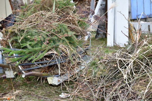 Yard Waste Removal Service in Carlsbad