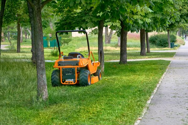 Landscaping Cleanup Service in Carlsbad