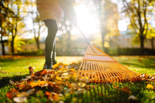 Leaves Raking in Carlsbad