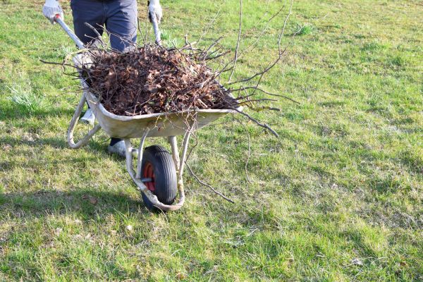Yard Brush Removal in Carlsbad