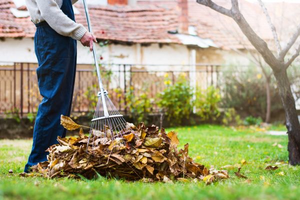 Spring Lawn Cleanup in Carlsbad