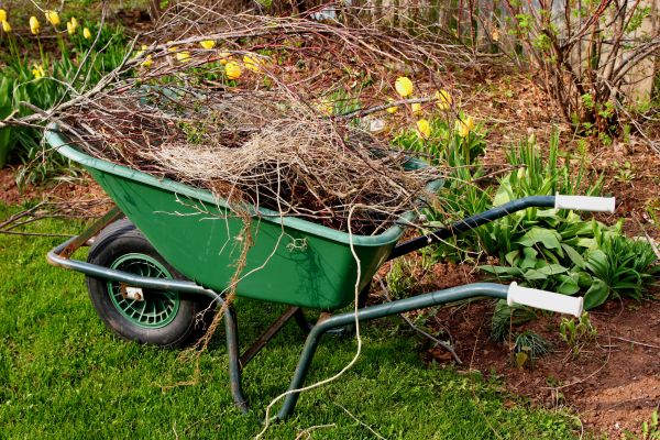 Lawn Waste Removal in Carlsbad
