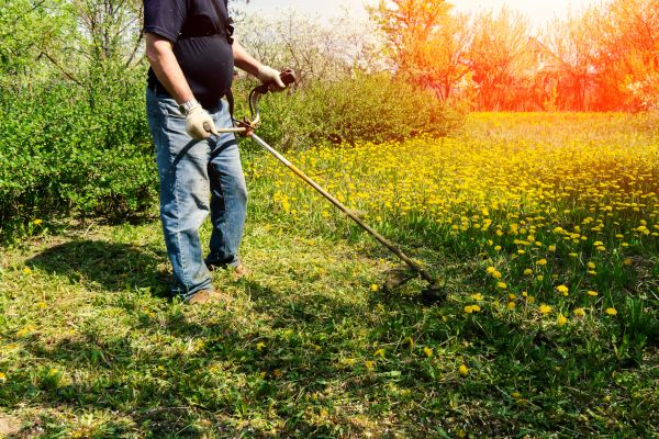 Yard Clearing Service in Carlsbad