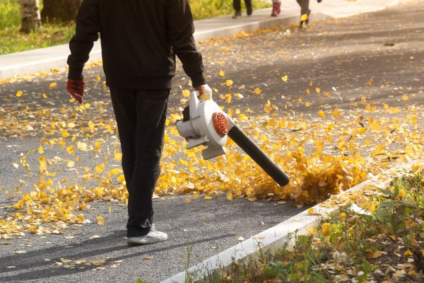 Commercial Leaf Removal in Carlsbad